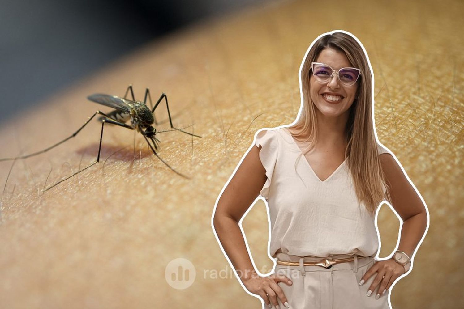 Todo lo que tenes que saber sobre dengue: "En muy poco tiempo hubo una elevación muy alta de los casos"