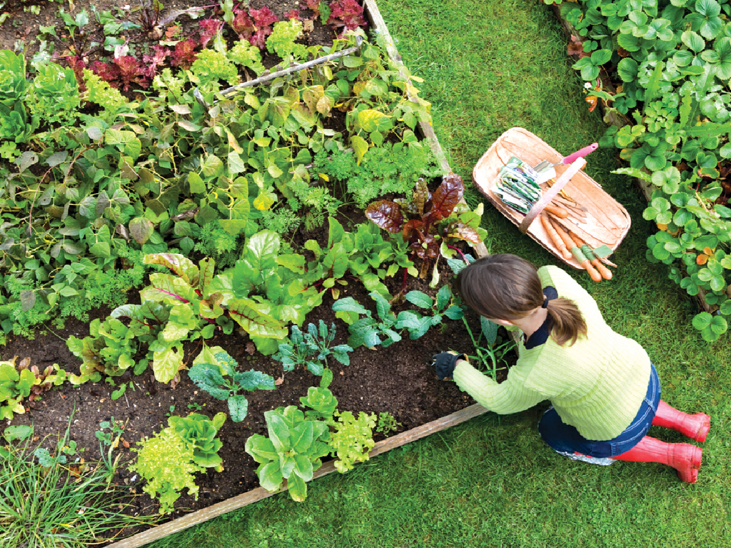 UTN dictará un curso online de horticultura orgánica