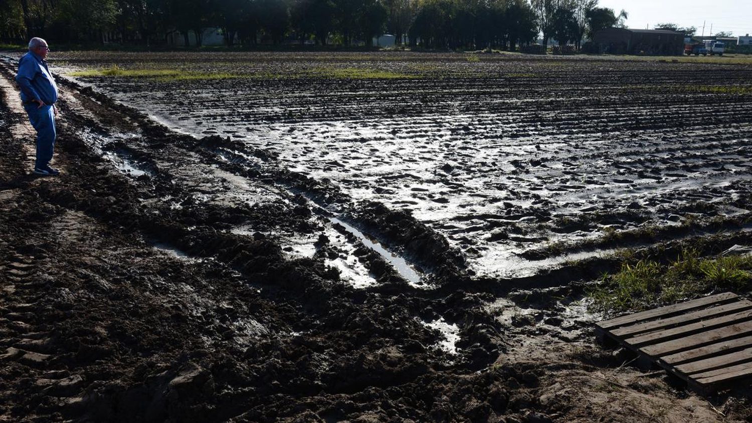 Las tormentas de esta semana dejaron 50.000 hectáreas "muy afectadas"