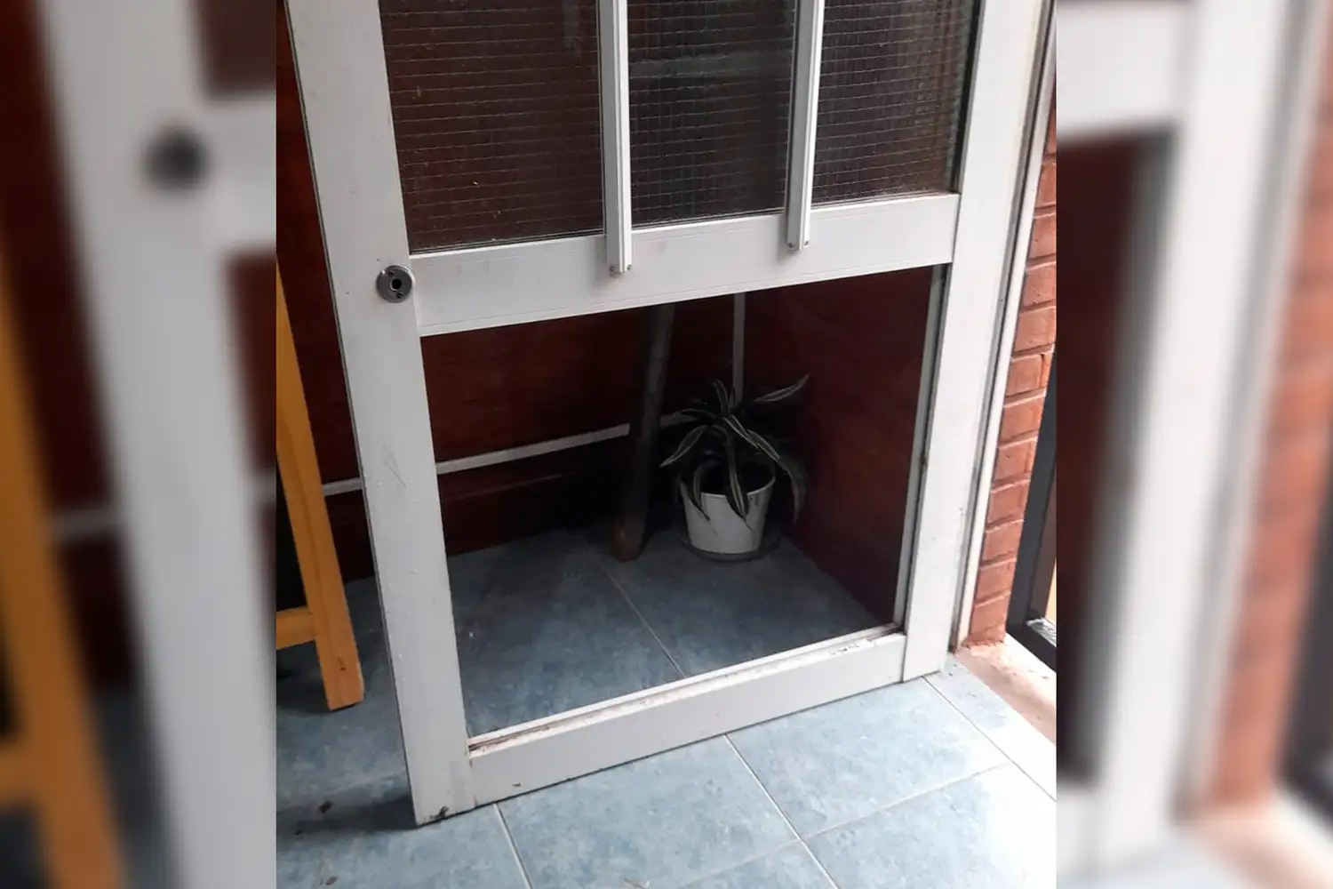 robo zapateria fama rafaela inseguridad barretearon portón barrio guemes - 2