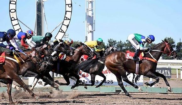 Jueves 16: Actividad Hipódromo de La Plata
