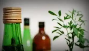 Suspendieron la "Fiesta de la Caña con ruda" en el anfiteatro 