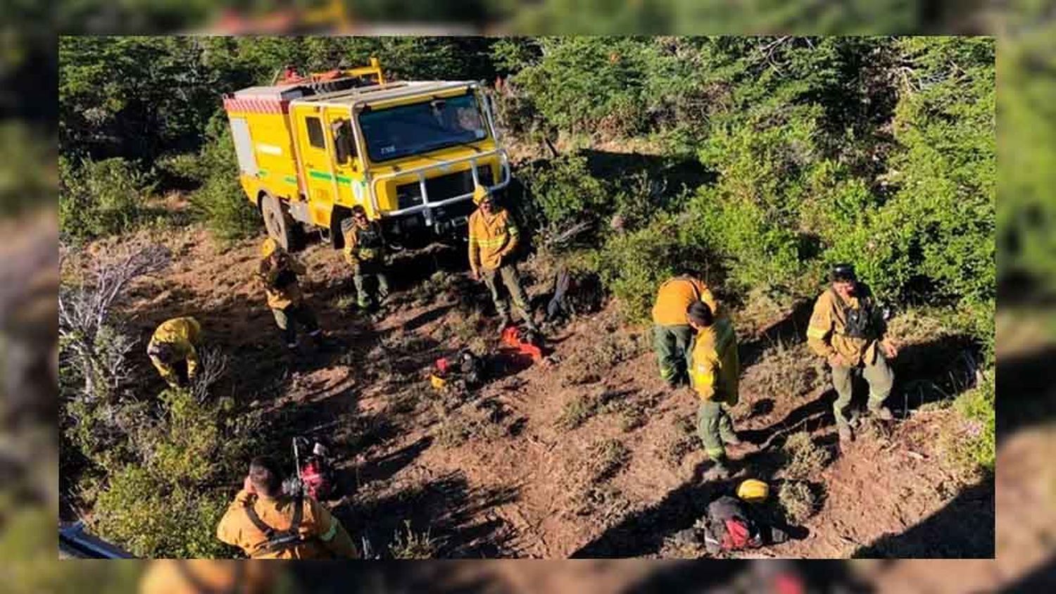 El incendio en el Parque Nacional Los Alerces esta controlado