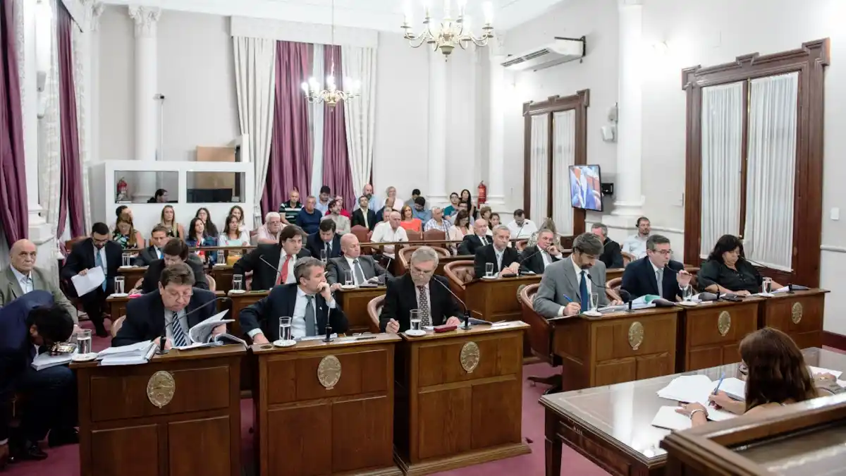 El Senado dio media sanción al proyecto de ley de responsabilidad social