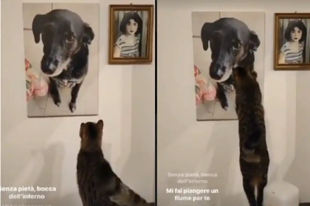 Este momento ha conmovido a miles de usuarios en las redes sociales.