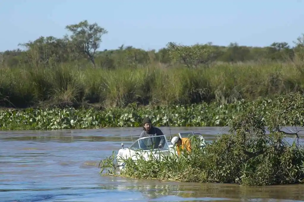 Políticas unificadas en ambas orillas.