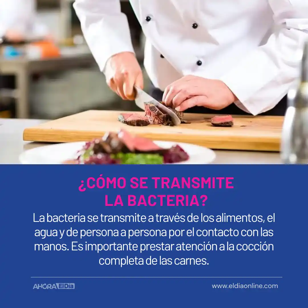 Síndrome Urémico Hemolítico: Cómo prevenir la enfermedad de la “Carne Cruda” - 5