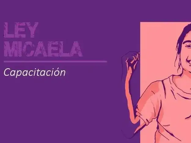 Poder Judicial: Se desarrolla nueva edición del curso de Ley Micaela