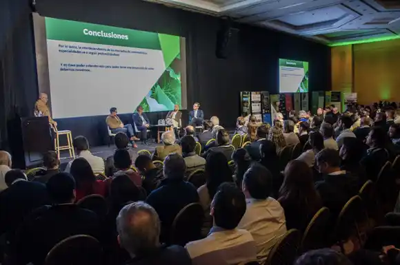 El mercado de legumbres en la mira: desafíos comerciales y urgencia de adaptación en Argentina