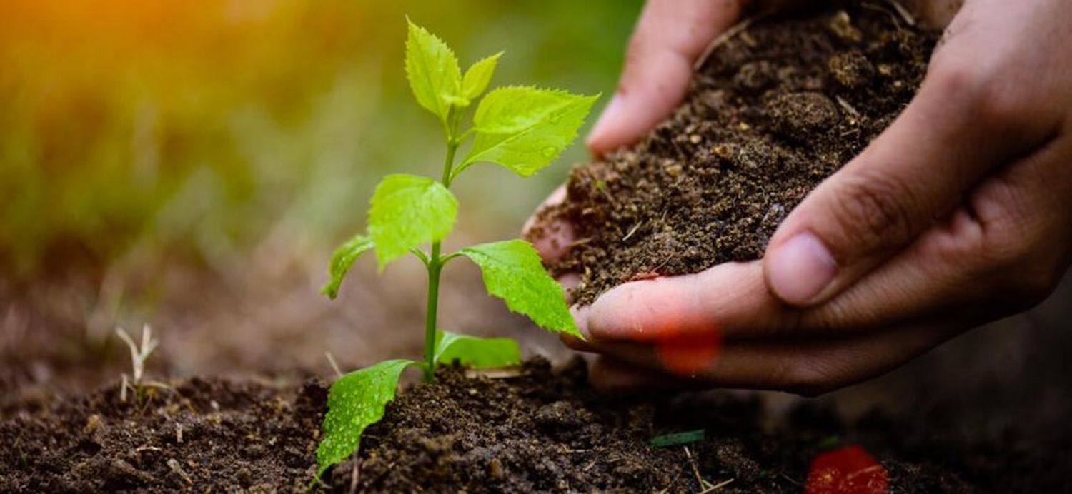 Rector de la UNaF participa del lanzamiento del II Congreso Argentino de Agroecología