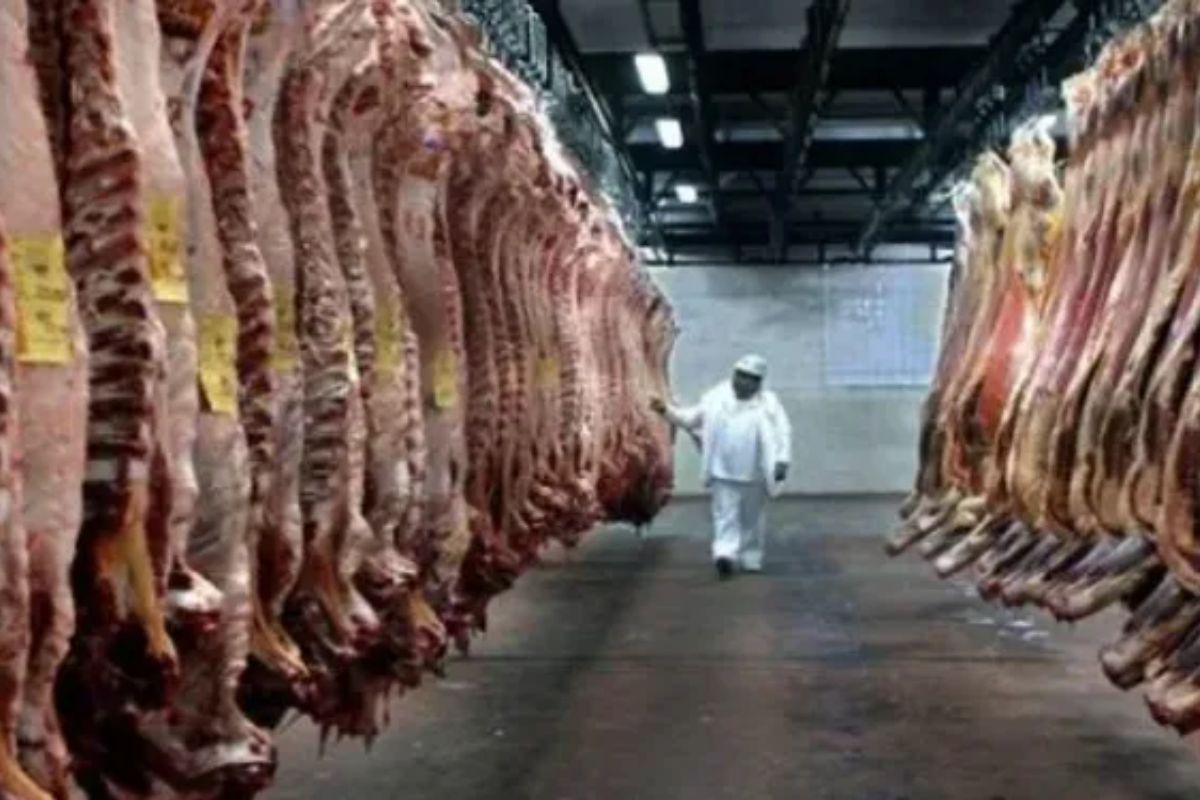 Las exportaciones crecieron 17% respecto al informe previo según datos del INDEC.