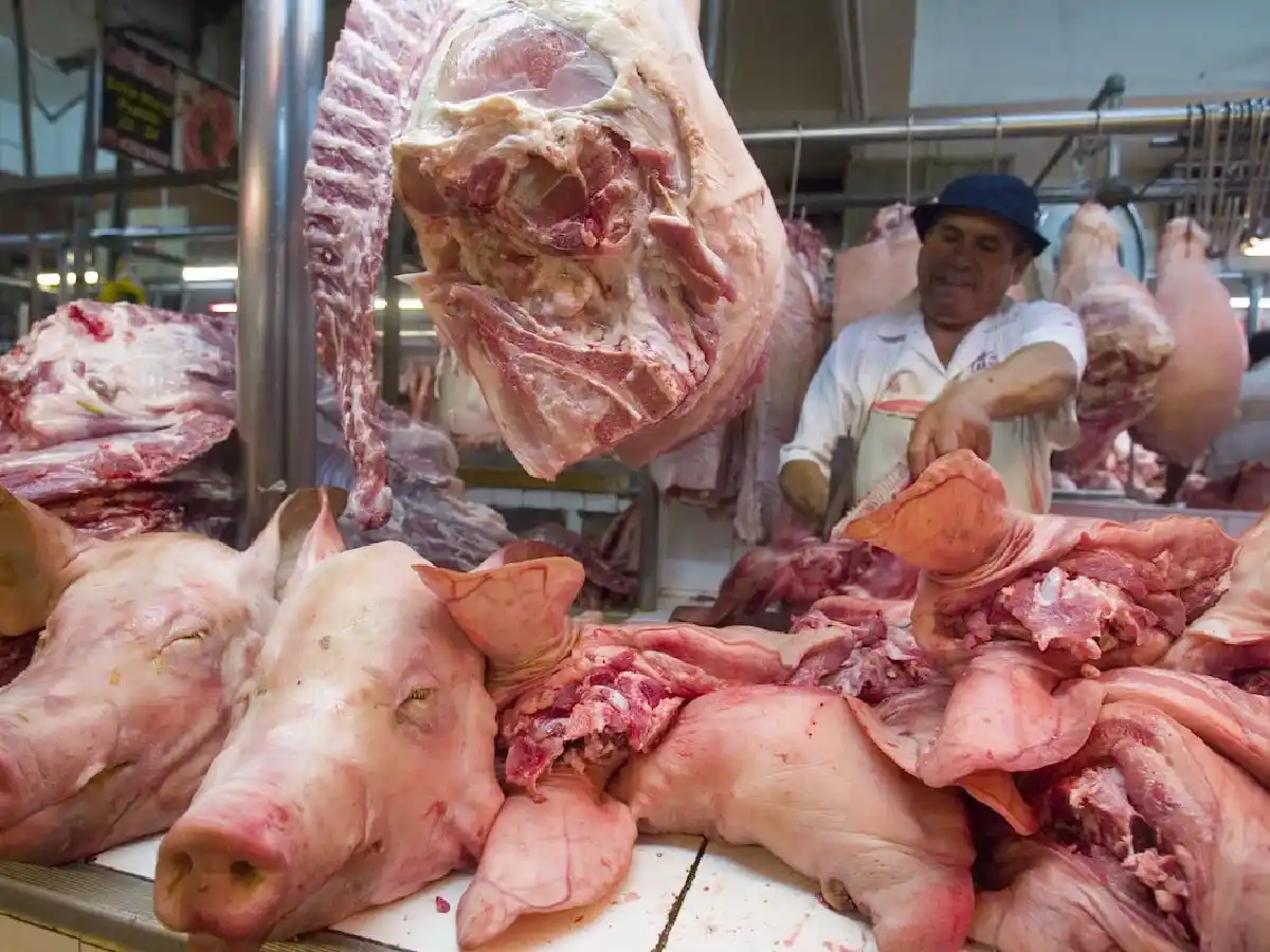 Córdoba es la segunda productora porcina a nivel nacional, con 26% del total