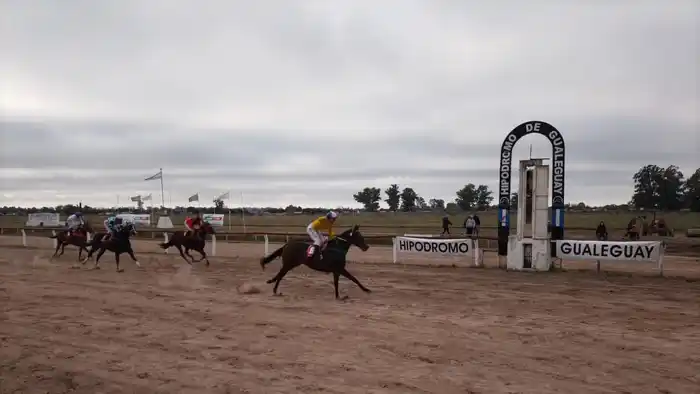 Sensacional jornada hípica este domingo 9 de noviembre