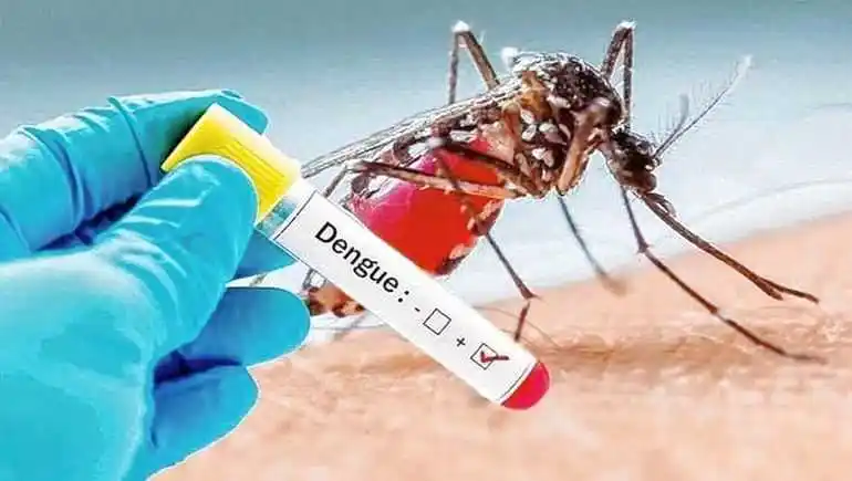 Formosa comenzará la vacunación contra el dengue