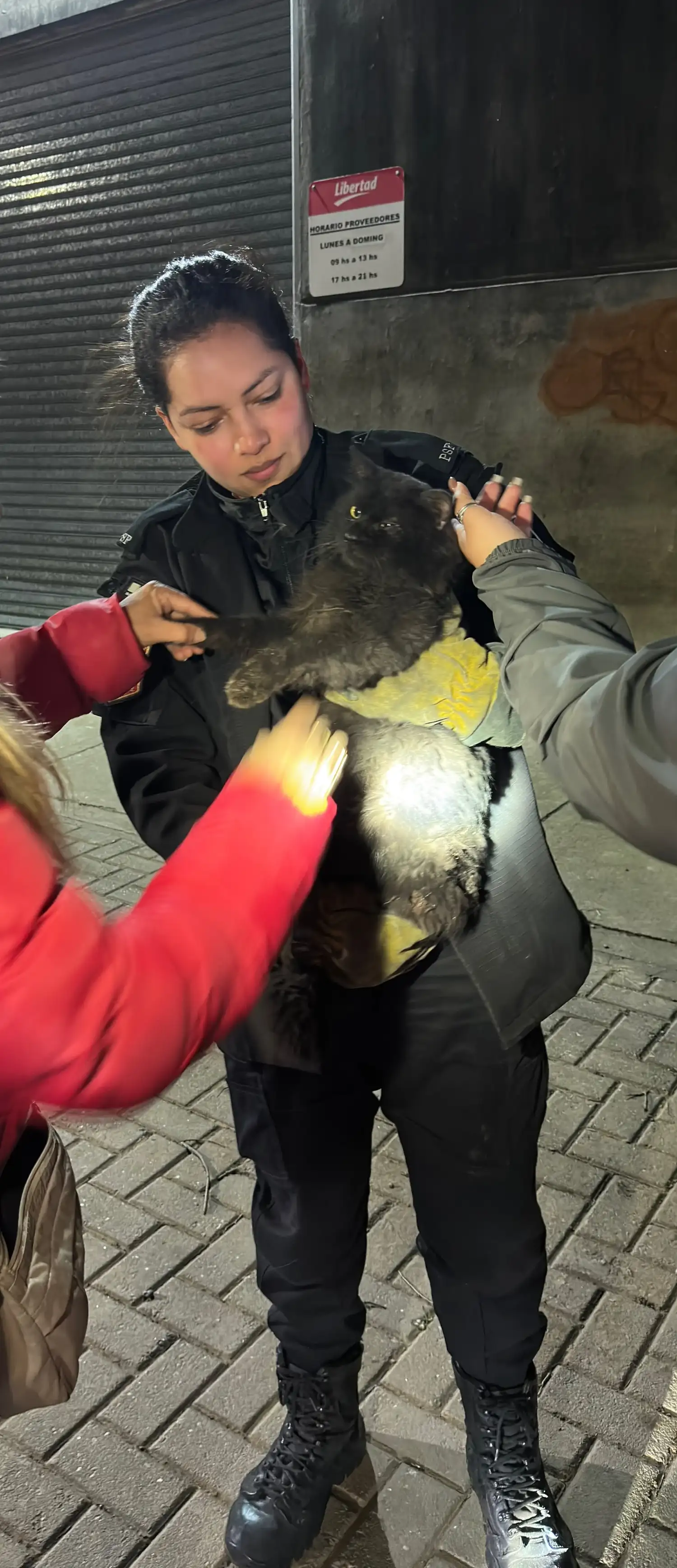gato atrapado - 2