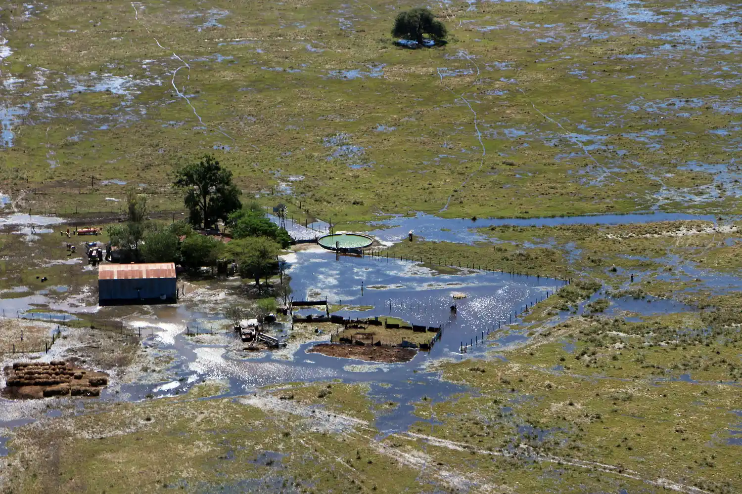 “Se pierden 14 millones de pesos por día de leche”