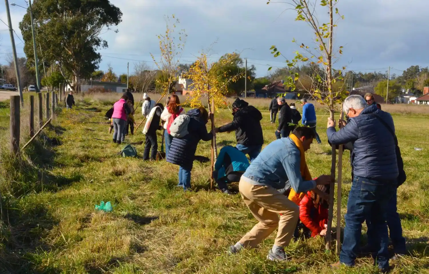 Imágenes sobre plantaciones que realizó la Universidad en otras oportunidades.