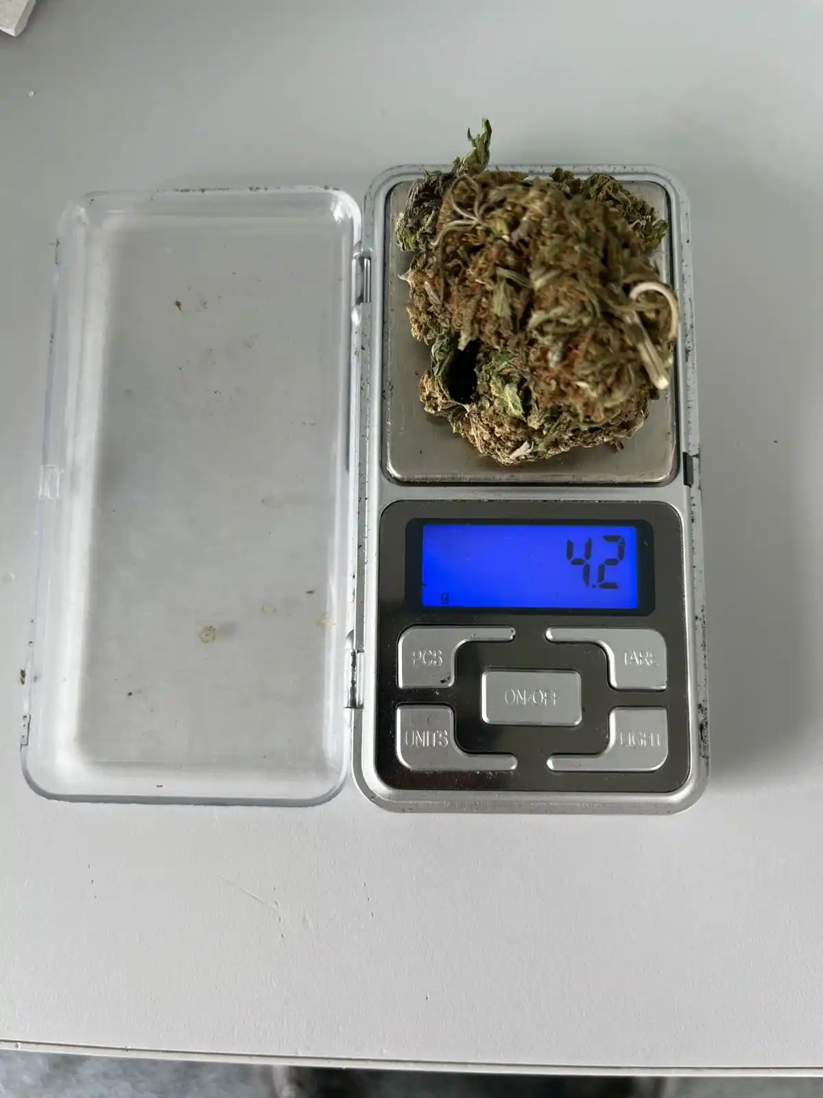 Detenidos - 1