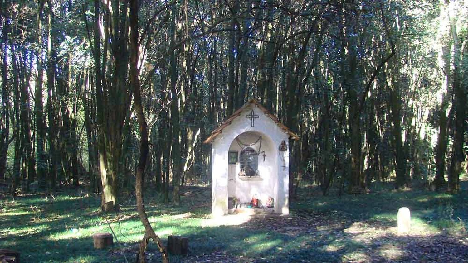 Polémica en Cañuelas por la eliminación del Monte de la Virgen, un espacio verde centenario