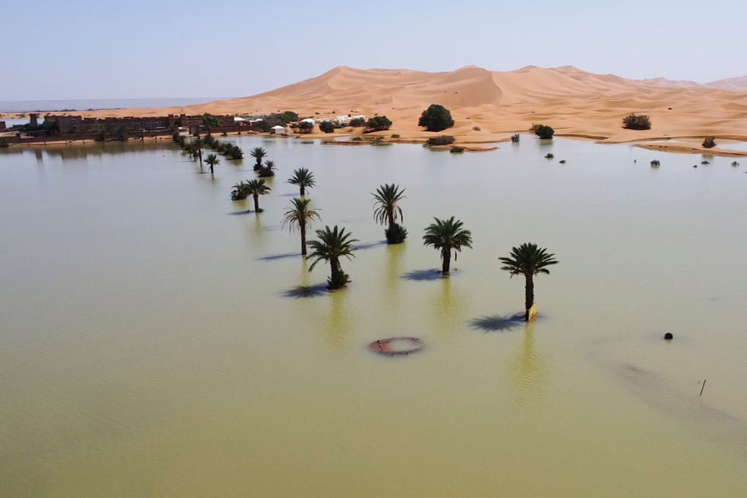 Sahara Desert is flooding after receiving a year's worth of rain in 2 days