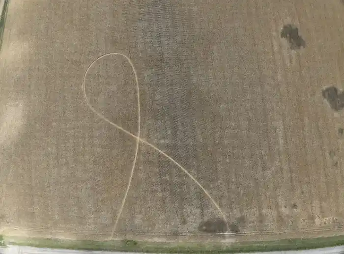 figuras campo extraño raro sospechoso - 1