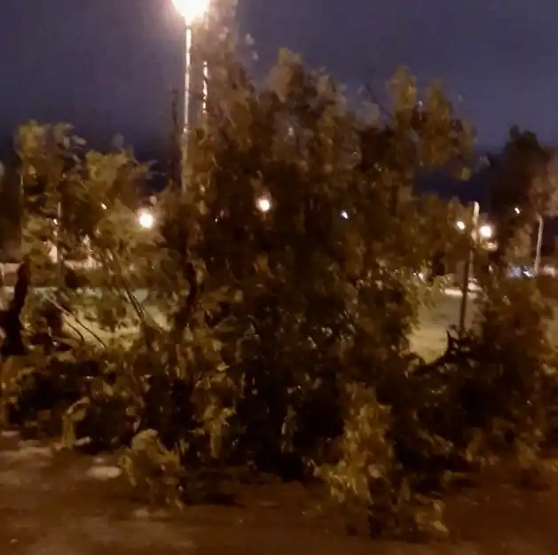 Se registraron ráfagas de 60 km/h en Tandil