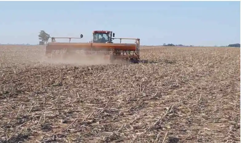 Entre Ríos declaró la emergencia agropecuaria
