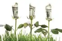 BASES PARA UNA ECONOMIA SUSTENTABLE