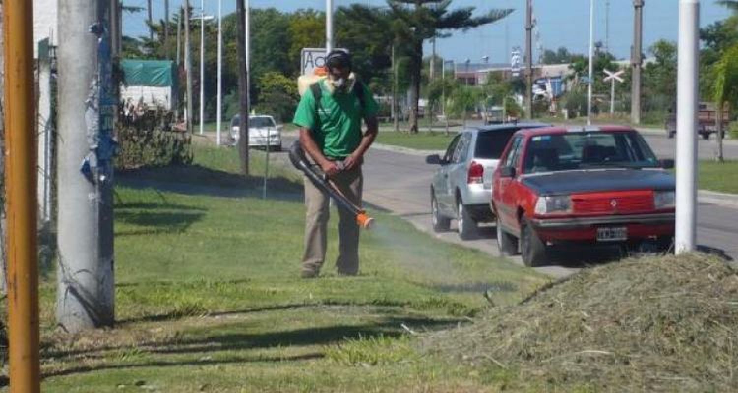Fumigación intensiva