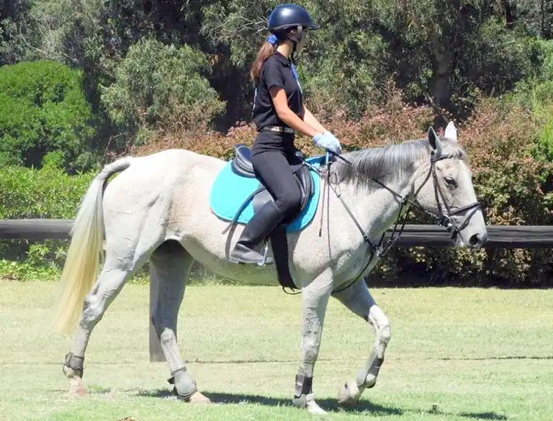 Primera clínica de equitación en el Club Náutico Necochea