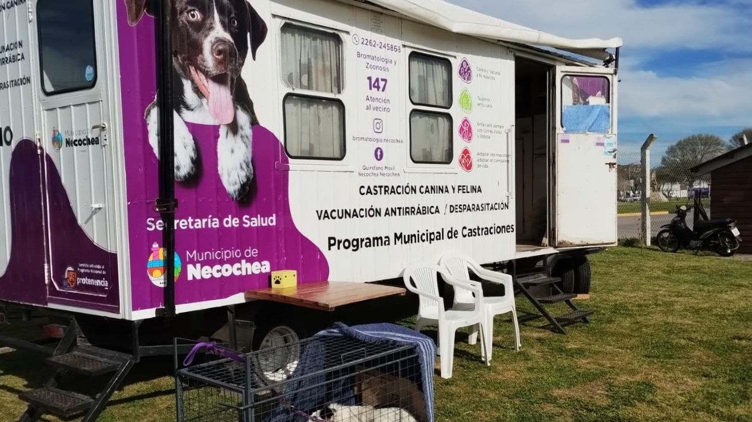 Nueva jornada de castración masiva