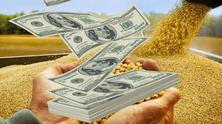 La Justicia falló contra empresas que no liquiden divisas: sentó precedente una SRL entrerriana