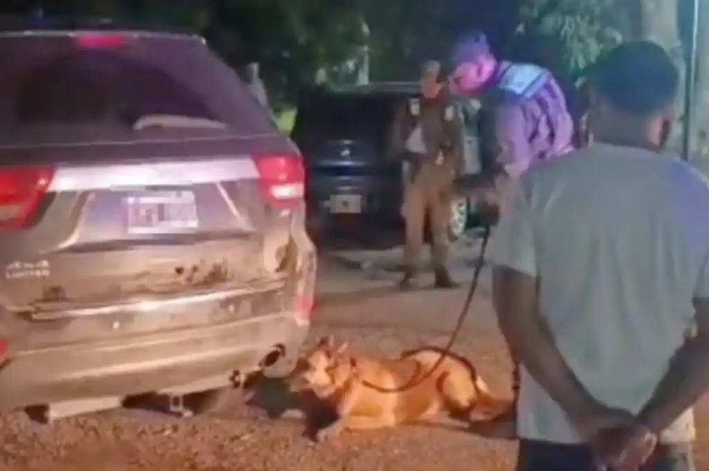 Cocaian incautada de San Cristóbal 1