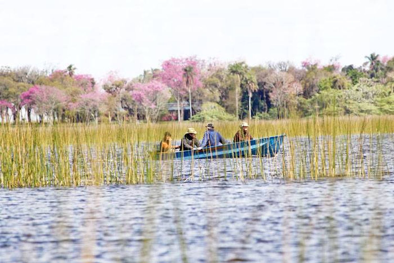 Quieren impulsar el ecoturismo en el Iberá