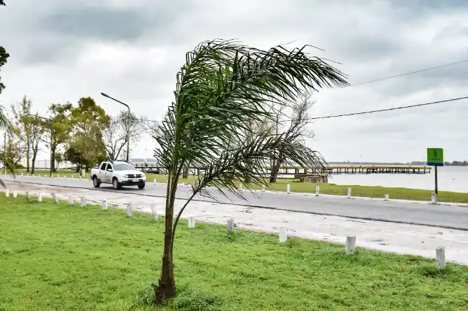 alerta amarillo por tormentas