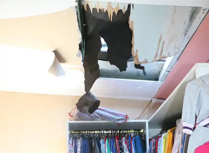 Boqueteros robaron en una boutique de Villa Italia 