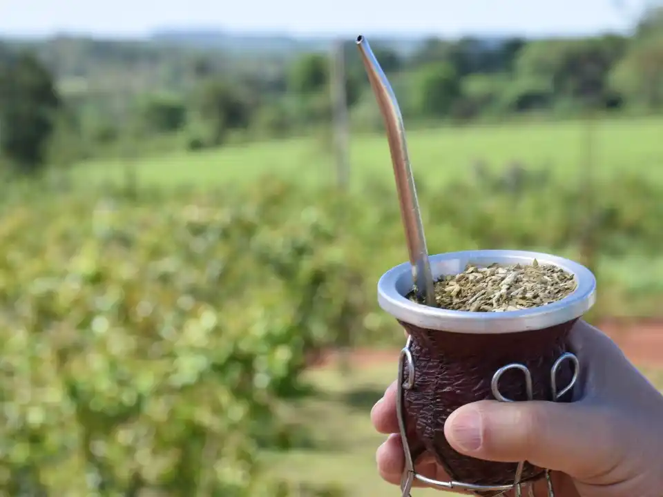 El mate resiste en Entre Ríos: la provincia sigue liderando el consumo nacional pese a la crisis
