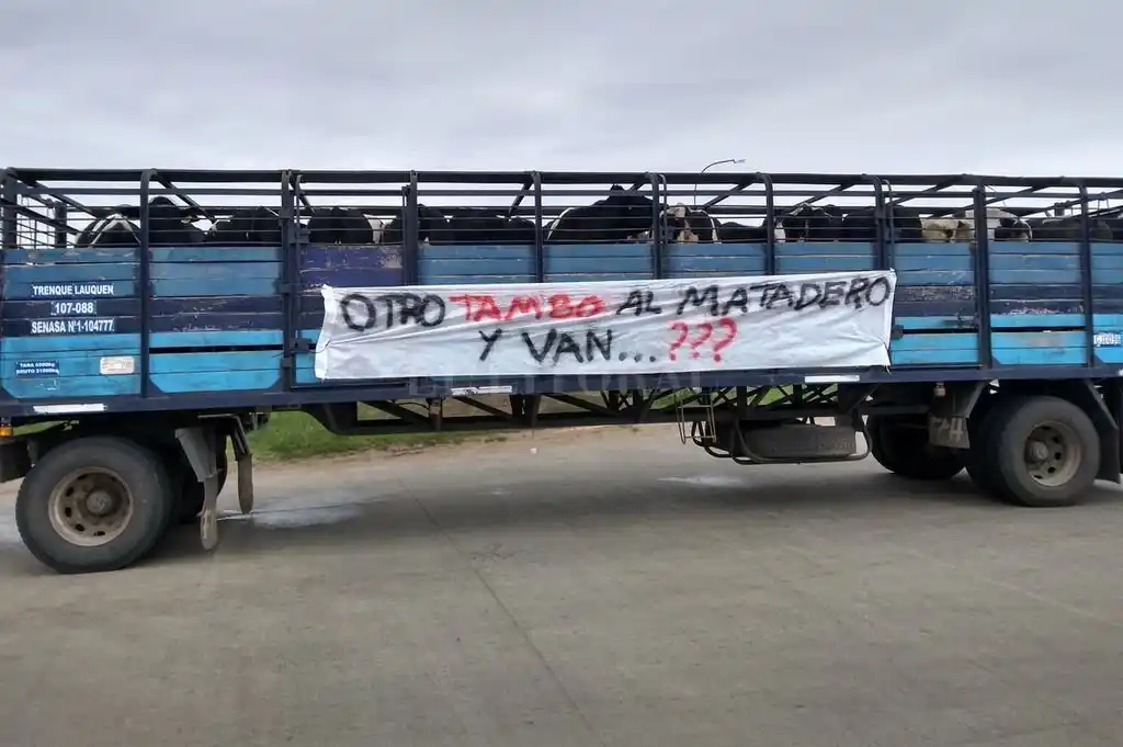 Para los tamberos santafesinos “el Estado no hace nada”