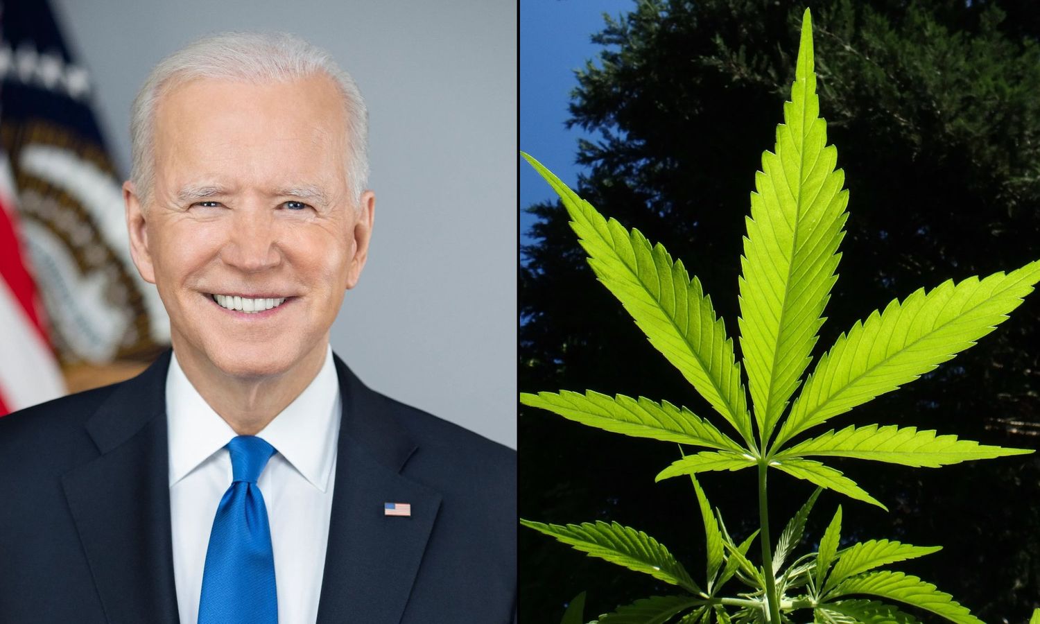 Biden Administration to Reclassify Marijuana, Easing Nationwide Restrictions