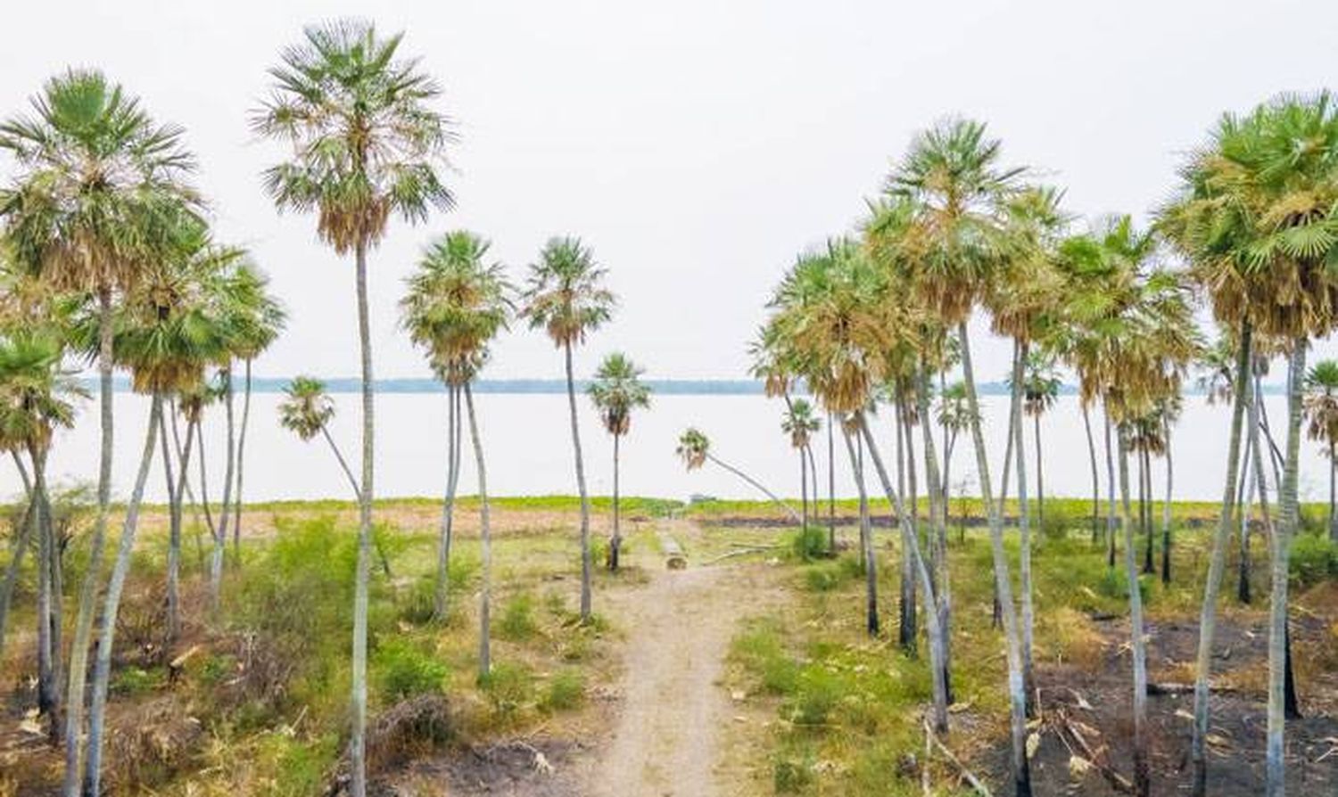 El Chaco está a un paso de contar con su tercer parque nacional