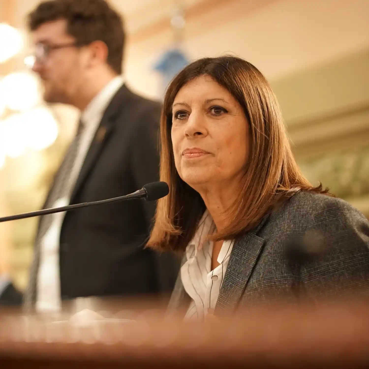 Clara García fue reelecta como presidenta de la Cámara de Diputadas y Diputados de Santa Fe