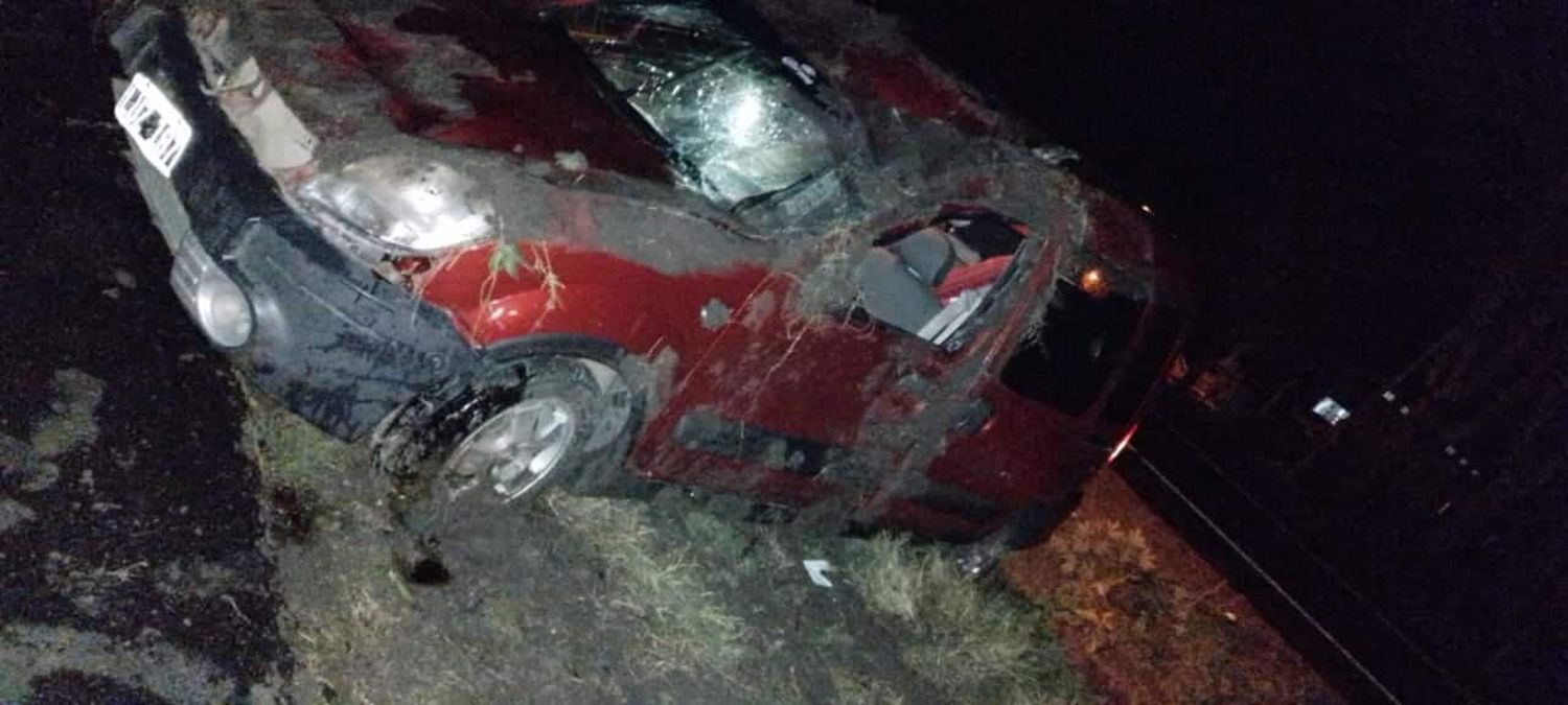 Chocó un árbol caído por el temporal y volcó