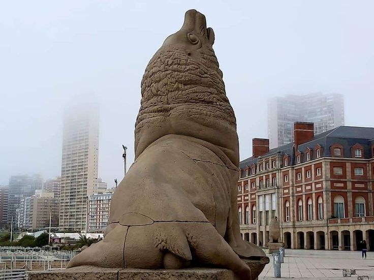 Mañana pasada por agua y noche con viento en Mar del Plata