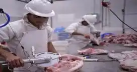 Como respuesta a la crisis, Pondesur proyecta aumentar 20% la producción

