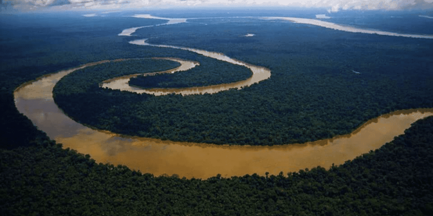 Por el cambio climático: Venezuela perdió 28% de sus bosques en la Amazonia desde 2016