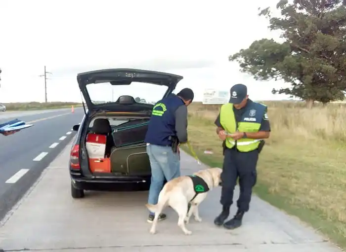 Realizaron operativos antidrogas en los accesos a la ciudad