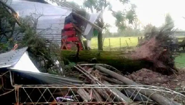 Fuerte temporal causó destrozos en varias ciudades de Entre Ríos