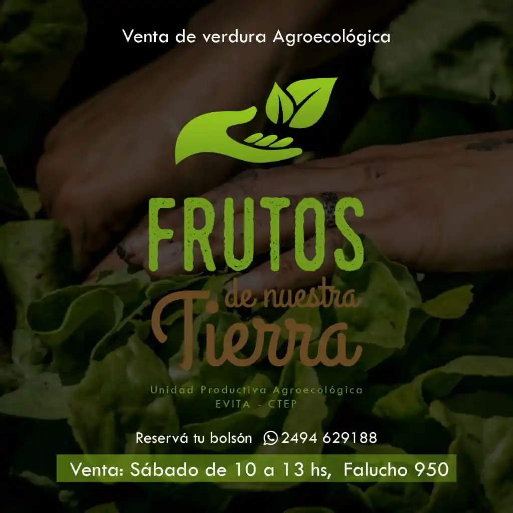 Realizarán una nueva venta al público de verduras agroecológicas