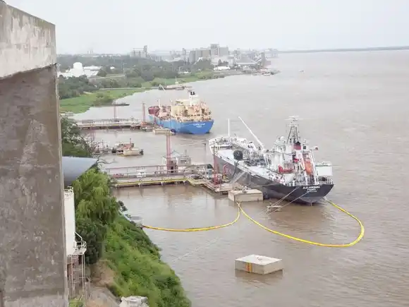 Sube 11 % el volumen de exportación de productos agroindustriales según información oficial