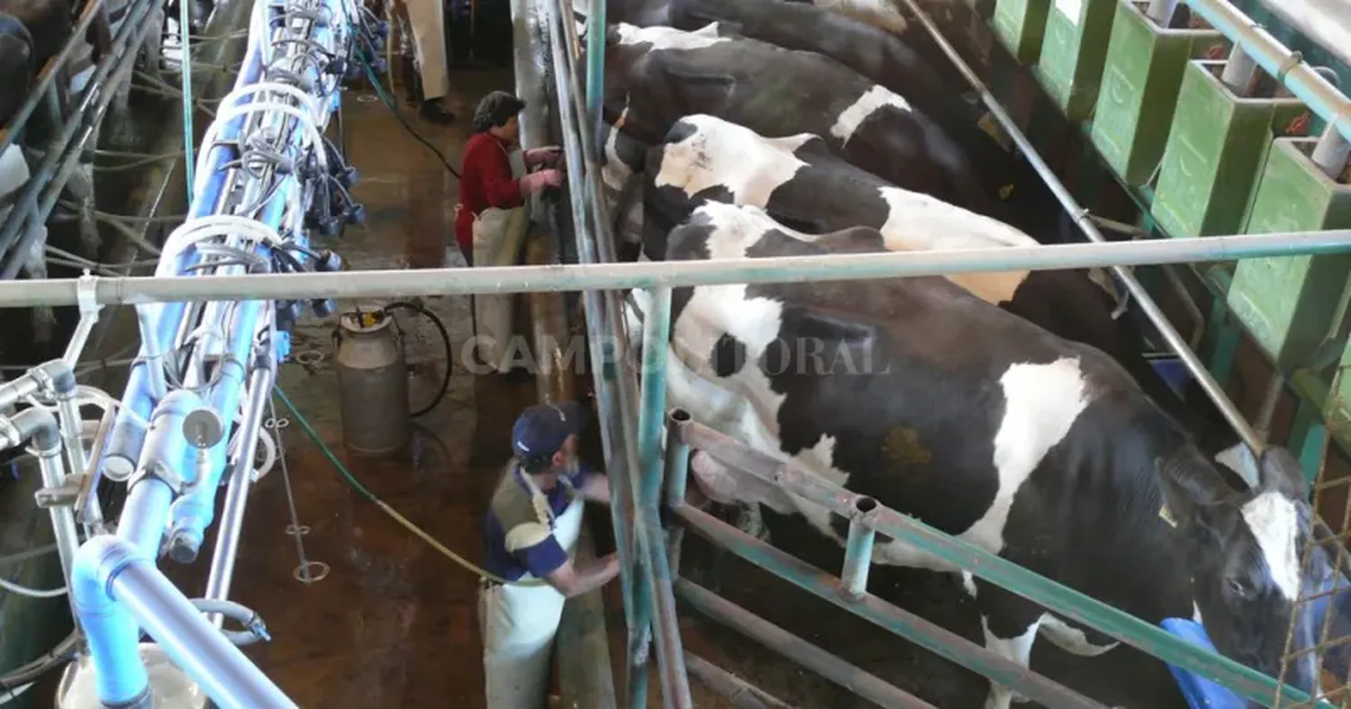 Tras larga demora, llegaron las compensaciones para los tamberos